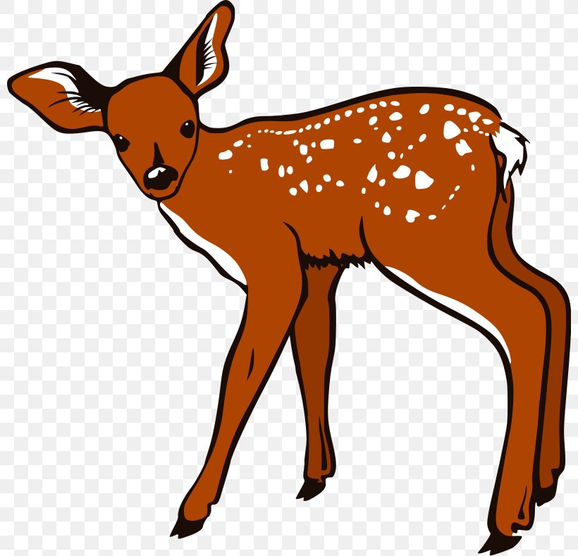 White-tailed Deer Clip Art, PNG, 800x789px, Whitetailed Deer, Animal, Animal Figure, Antelope, Antler Download Free