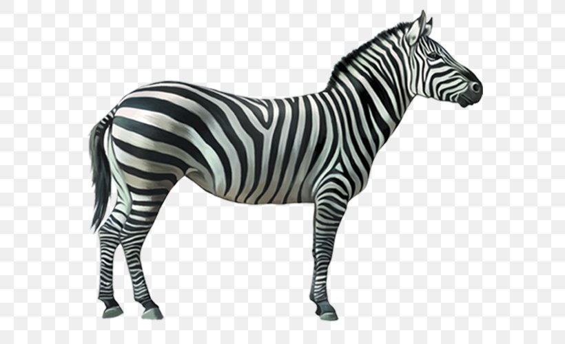 Burchell's Zebra Stripe Quagga Horse, PNG, 600x500px, Zebra, Animal, Animal Figure, Black And White, Horse Download Free