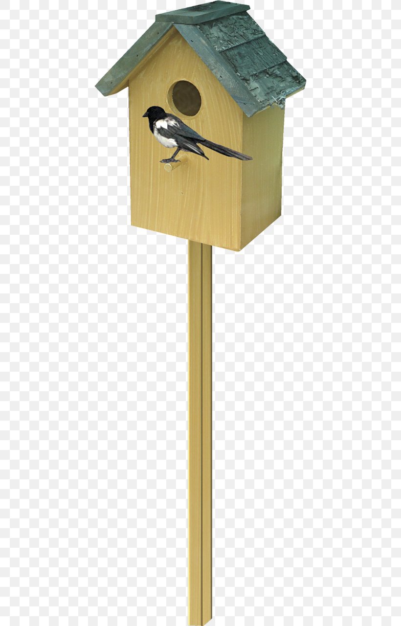 Eurasian Magpie Bird Houses Passerine, PNG, 434x1280px, Eurasian Magpie, Bird, Bird Houses, Birdhouse, Cuteness Download Free