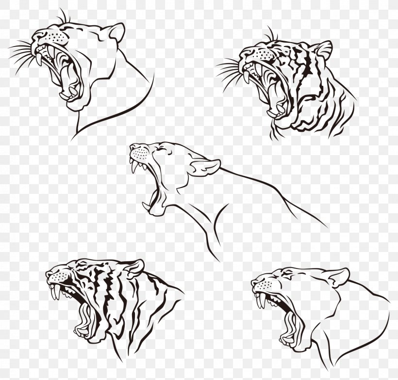 Tiger Leopard Black Panther Wildcat Felidae, PNG, 1631x1560px, Tiger, Area, Art, Artwork, Big Cat Download Free