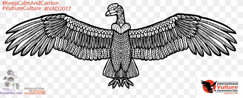 Vulture Bird Wing Eagle Condor, PNG, 2741x1109px, Vulture, Artwork, Beak, Bird, Bird Of Prey Download Free