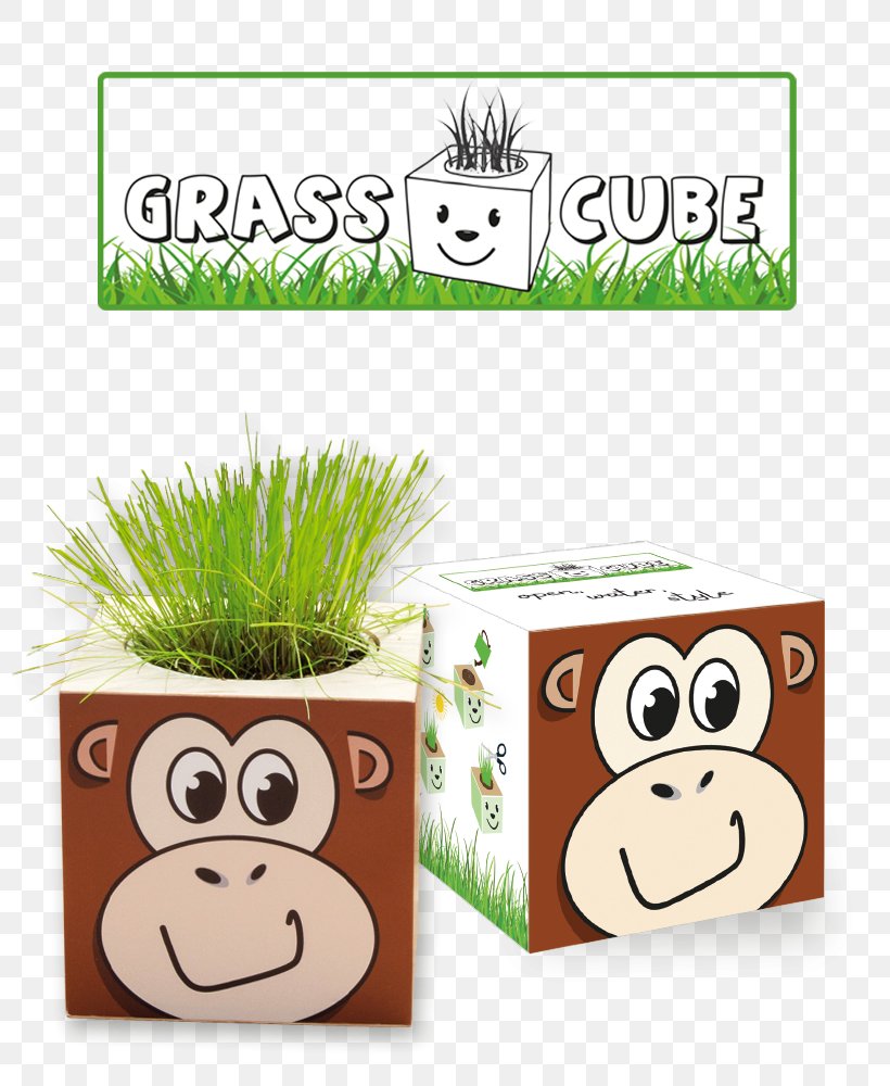 Cube Plant Mammal IdeeCadeau.fr Animal, PNG, 799x1000px, Cube, Animal, Biscuits, Child, Grass Download Free