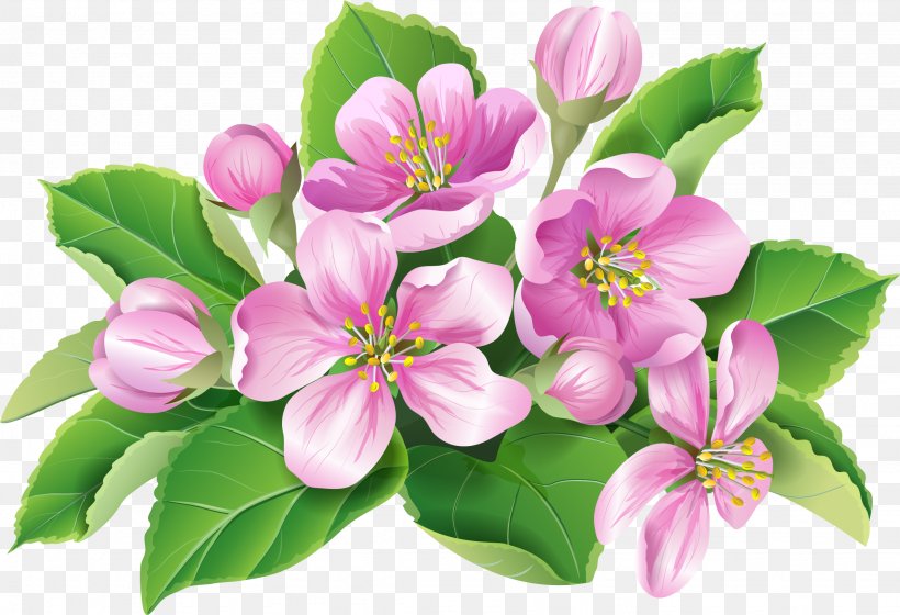 Flower Blossom, PNG, 2252x1538px, Flower, Art, Blossom, Branch, Drawing Download Free