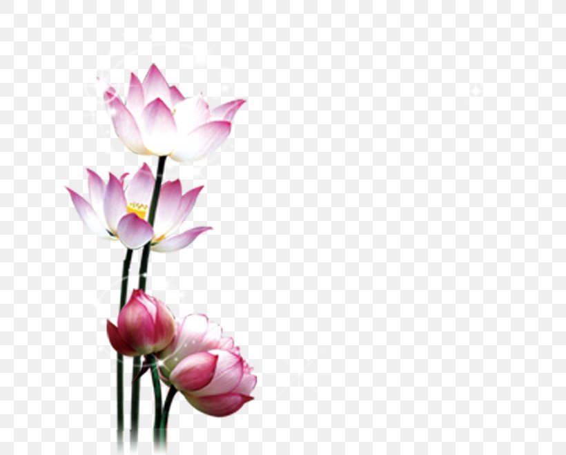 Lotus, PNG, 650x659px, Mooncake, Artificial Flower, Blossom, Buddhahood, Cut Flowers Download Free
