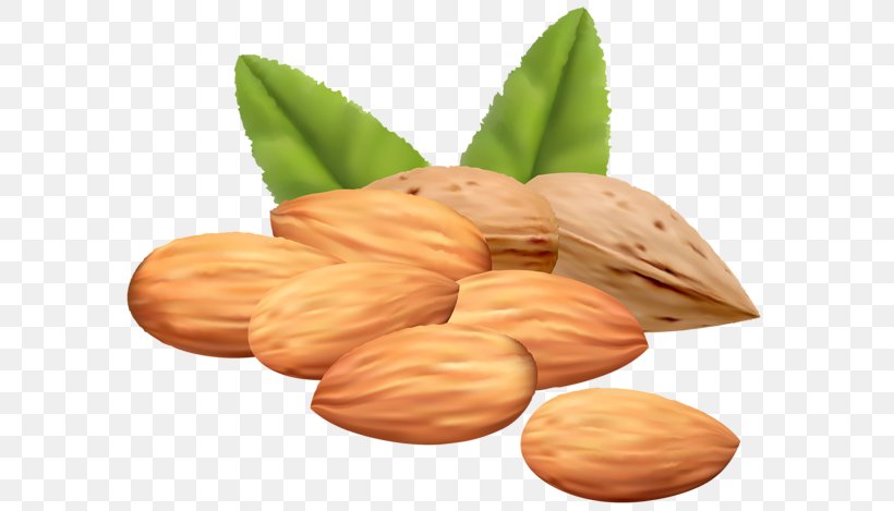 Mixed Nuts Pine Nut Clip Art, PNG, 600x469px, Nut, Almond, Commodity, Food, Hazelnut Download Free