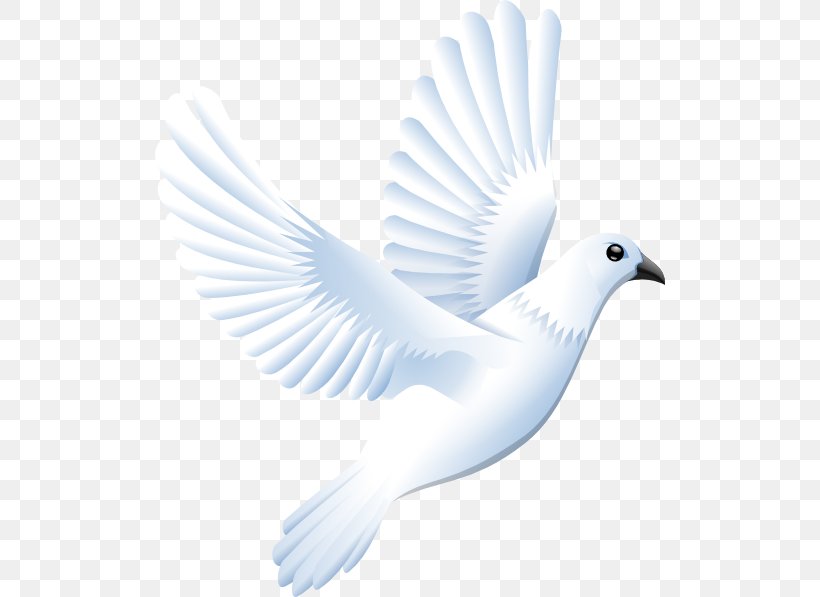 Columbidae Doves As Symbols Clip Art, PNG, 510x597px, Columbidae, Beak, Bird, Color, Document Download Free