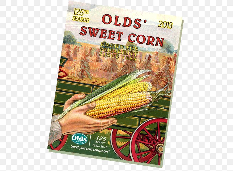Corn On The Cob Vegetarian Cuisine Sweet Corn Corn Kernel, PNG, 492x602px, Corn On The Cob, Commodity, Commodity Supplemental Food Program, Corn, Corn Kernel Download Free