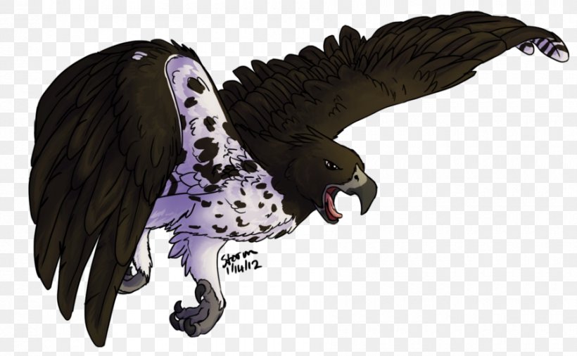 Eagle Owl Hawk Wildlife Beak, PNG, 900x556px, Eagle, Beak, Bird, Bird Of Prey, Fauna Download Free