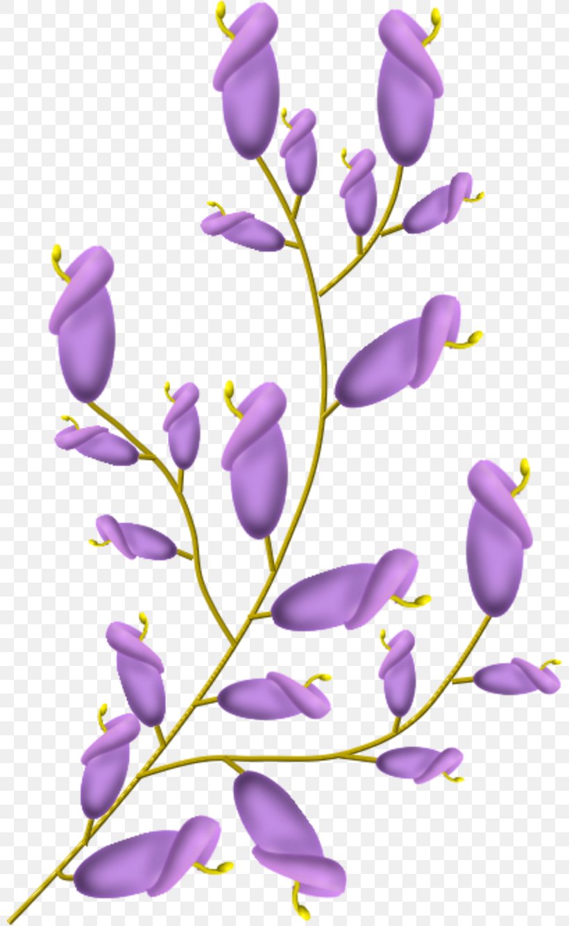 Flower Clip Art, PNG, 800x1335px, Flower, Branch, Crocus, Cut Flowers, Floral Design Download Free