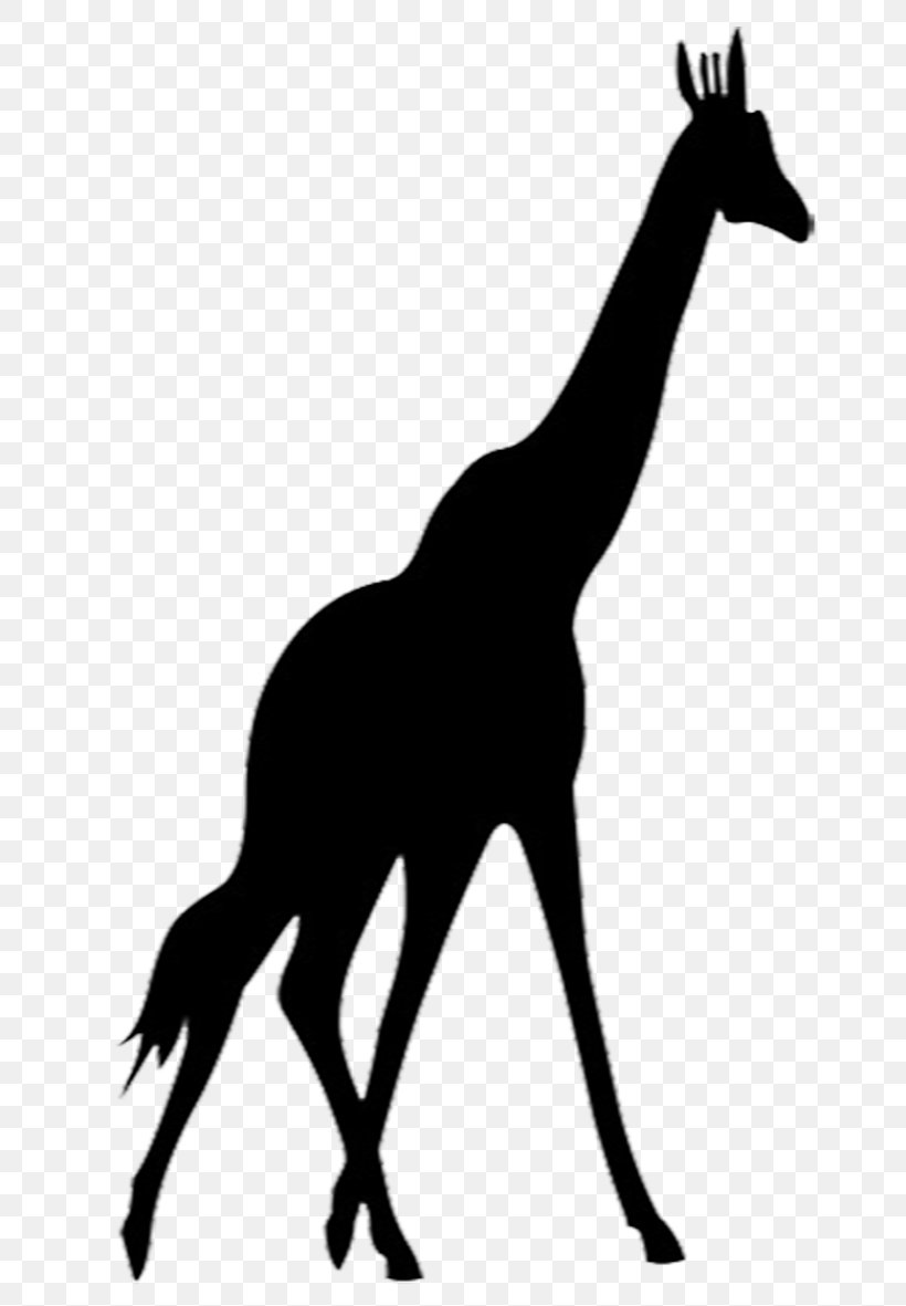 Giraffe Silhouette Clip Art, PNG, 664x1181px, Giraffe, Black And White, Cartoon, Drawing, Fauna Download Free