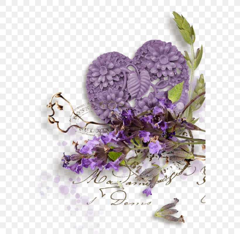 Lavender Botany Provence, PNG, 585x800px, Lavender, Botanical Illustration, Botany, Decoupage, Drawing Download Free