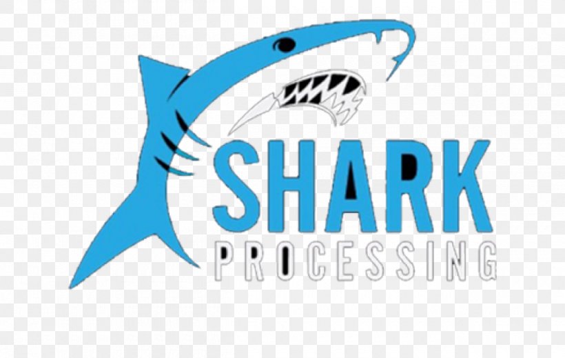Logo Shark Brand Design Product, PNG, 1260x798px, Logo, Area, Blue, Brand, Fish Download Free