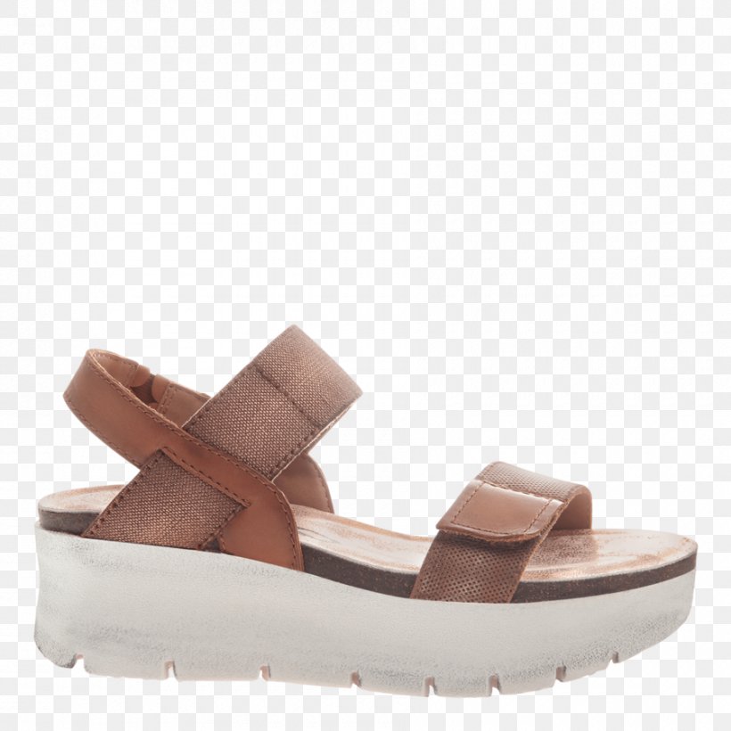 Sandal Wedge Platform Shoe Ballet Flat, PNG, 900x900px, Sandal, Ballet Flat, Beige, Blue, Brown Download Free