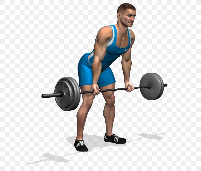 Barbell Pronation Bent-over Row Physical Exercise Weight Training, PNG, 700x700px, Watercolor, Cartoon, Flower, Frame, Heart Download Free