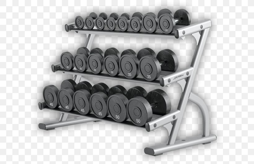 Dumbbell Barbell Exercise Equipment Fitness Centre Weight Training, PNG, 745x529px, Dumbbell, Barbell, Bench, Exercise, Exercise Balls Download Free