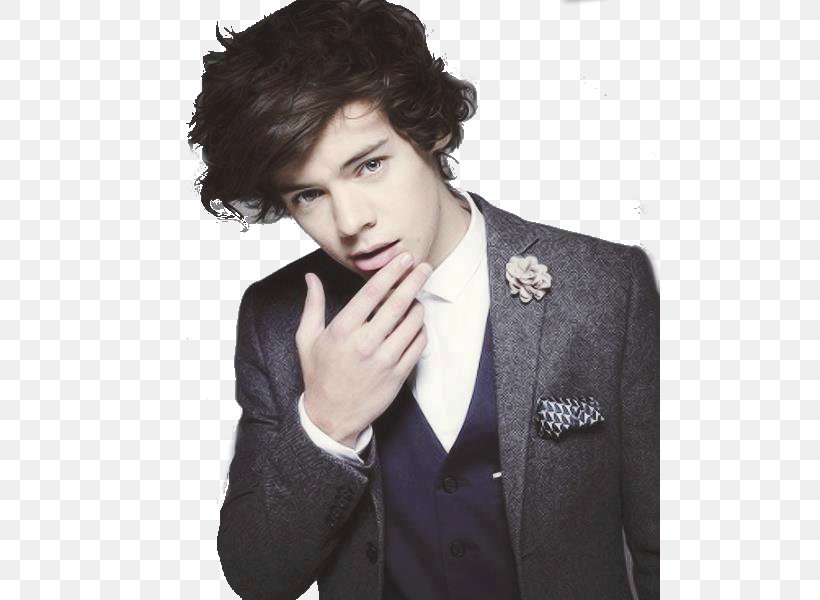 Harry Styles The X Factor February 1 One Direction, PNG, 800x600px, Watercolor, Cartoon, Flower, Frame, Heart Download Free