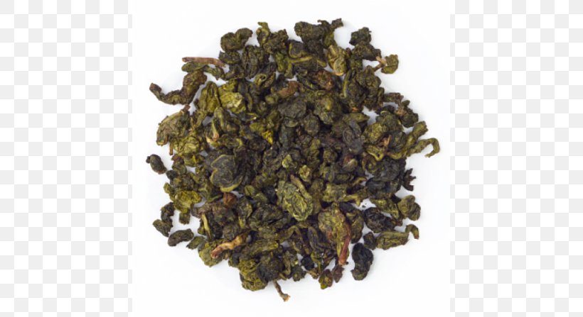 Tieguanyin Oolong Nilgiri Tea Darjeeling Tea, PNG, 600x447px, Tieguanyin, Assam Tea, Biluochun, Ceylon Tea, Da Hong Pao Download Free