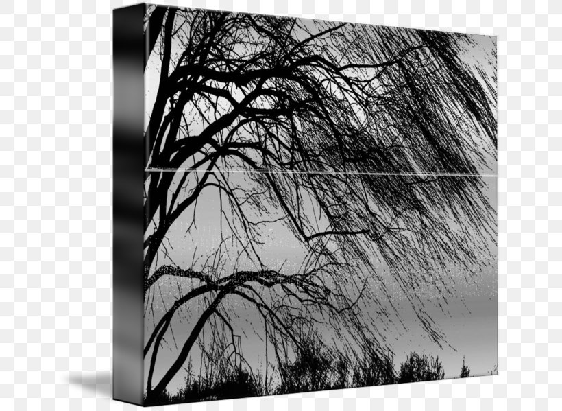 Tree Weeping Willow Woody Plant Trunk, PNG, 650x599px, Tree, Art, Black, Black And White, Branch Download Free