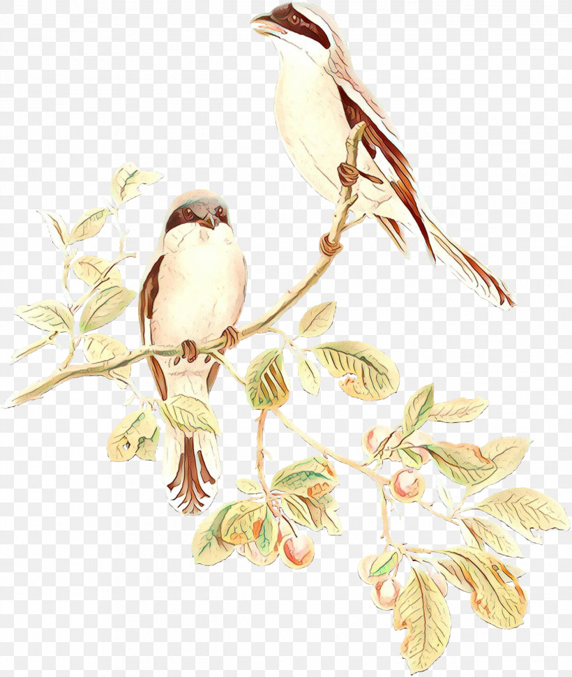 Branch Bird Plant Twig Flower, PNG, 2534x2998px, Branch, Bird, Finch, Flower, House Sparrow Download Free