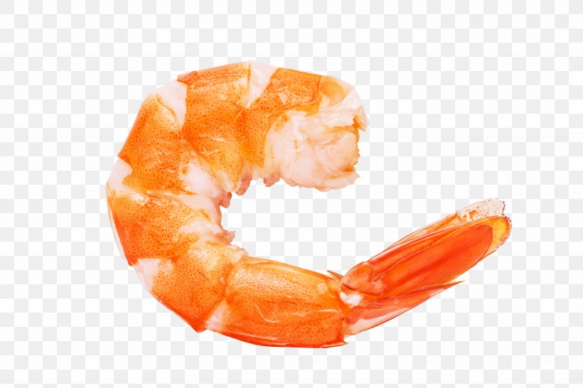Caridea Prawn Shrimp Euclidean Vector, PNG, 5472x3648px, Caridea, Animal Source Foods, Caridean Shrimp, Decapoda, Editing Download Free