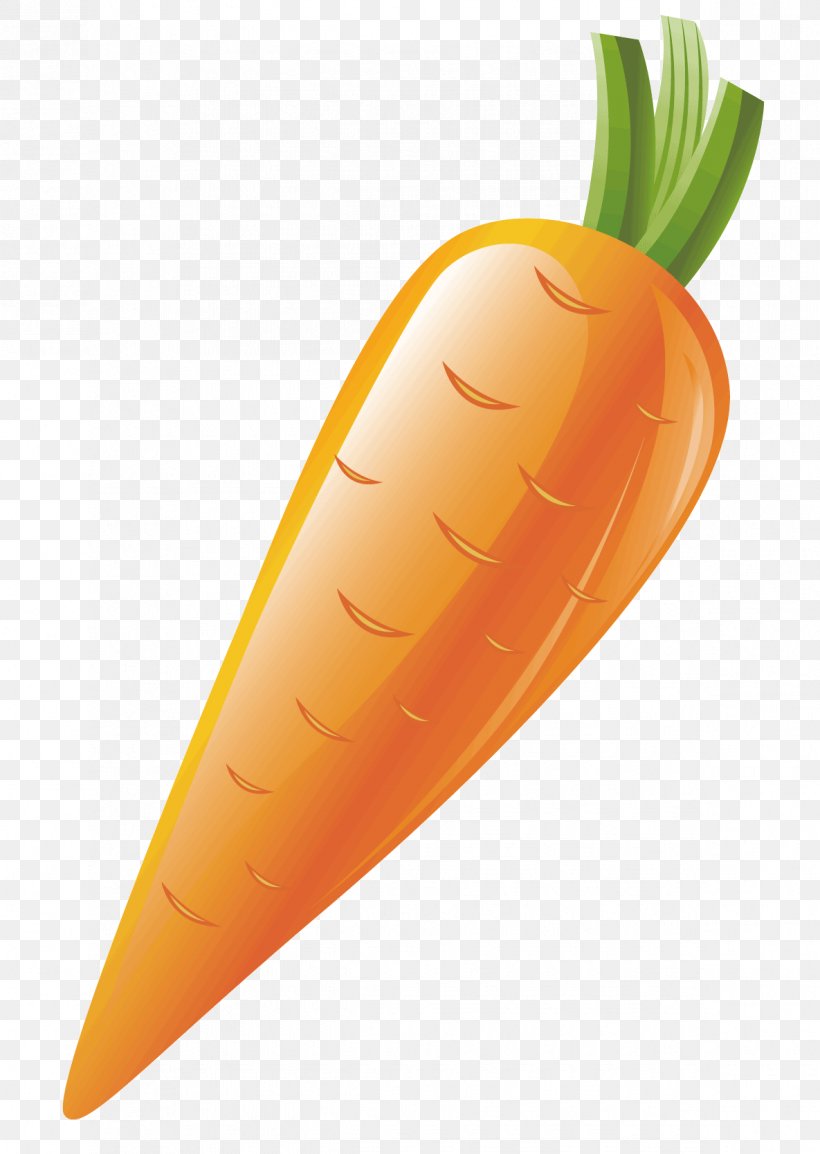 Carrot Vegetable, PNG, 1185x1668px, Carrot, Farmers Market, Food, Fruit, Market Download Free