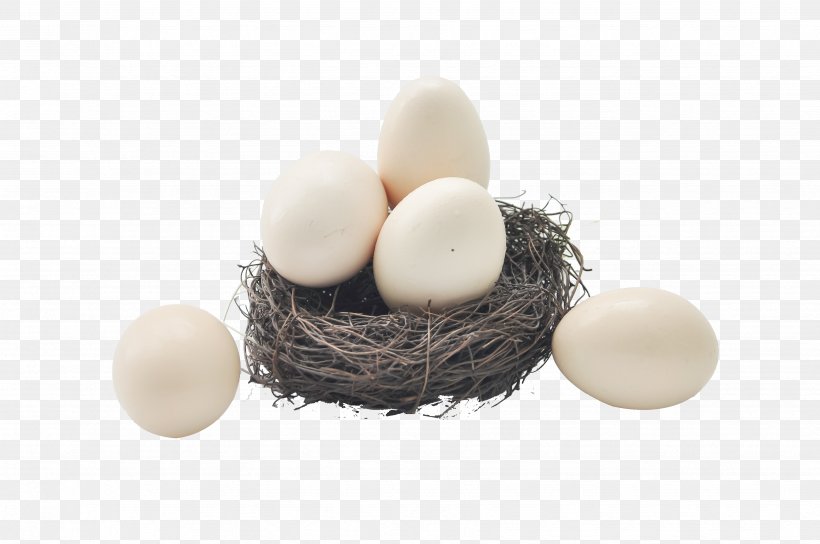 Chicken Egg Chicken Egg Food Soil, PNG, 3499x2324px, Chicken, Cake, Chicken Egg, Eating, Egg Download Free