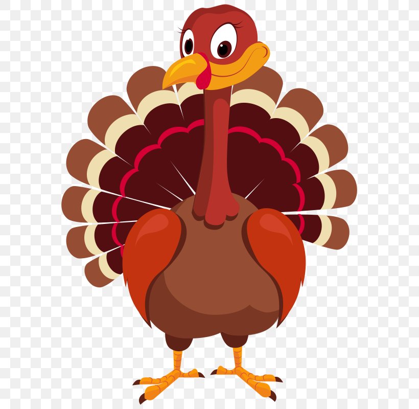 Clip Art Black Turkey Turkey Meat Thanksgiving, PNG, 591x800px, Black Turkey, Beak, Bird, Chicken, Chicken As Food Download Free