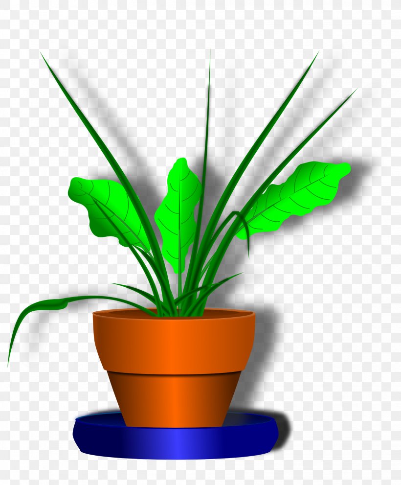 Desktop Wallpaper Plant Flower Clip Art, PNG, 1979x2394px, Plant, Flower, Flowerpot, Grass, Grass Family Download Free