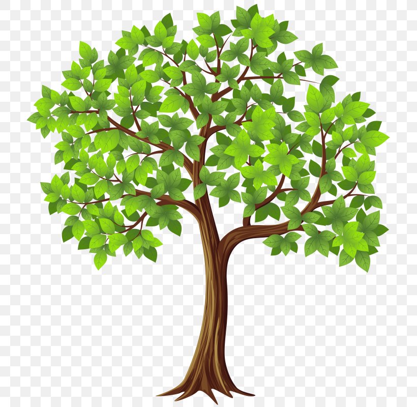 Download Clip Art, PNG, 725x800px, Tree, Blog, Branch, Document, Flowerpot Download Free