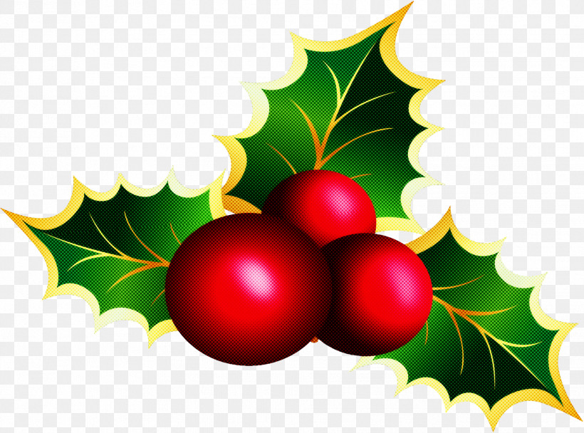 Holly, PNG, 1932x1434px, Holly, American Holly, Berry, Cherry, Currant Download Free