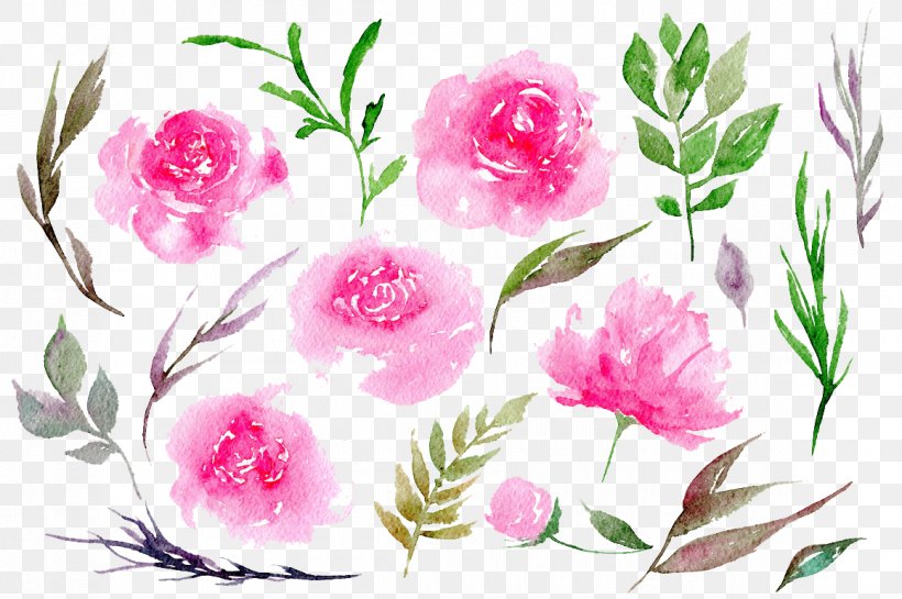 Peony Pink Watercolor Painting Clip Art, PNG, 1160x772px, Peony, Artificial Flower, Centifolia Roses, Color, Cut Flowers Download Free
