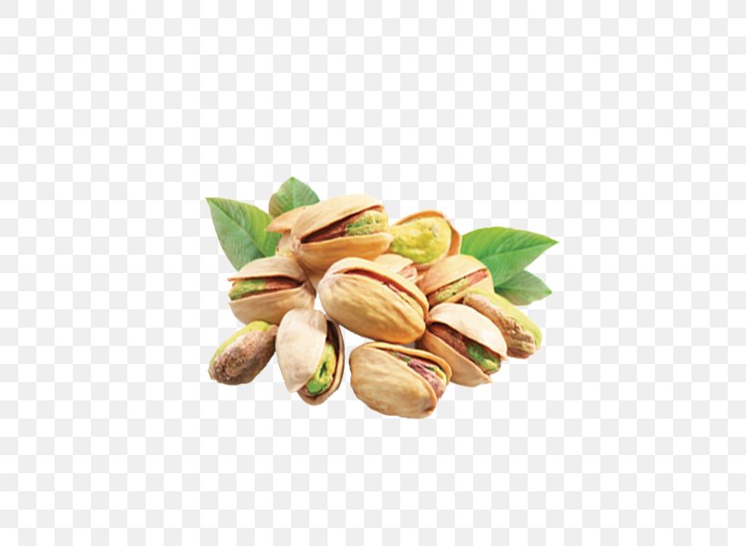 Pistachio Beer Nut, PNG, 600x600px, Pistachio, Aperture, Arbuz, Beer, Dotted I Download Free