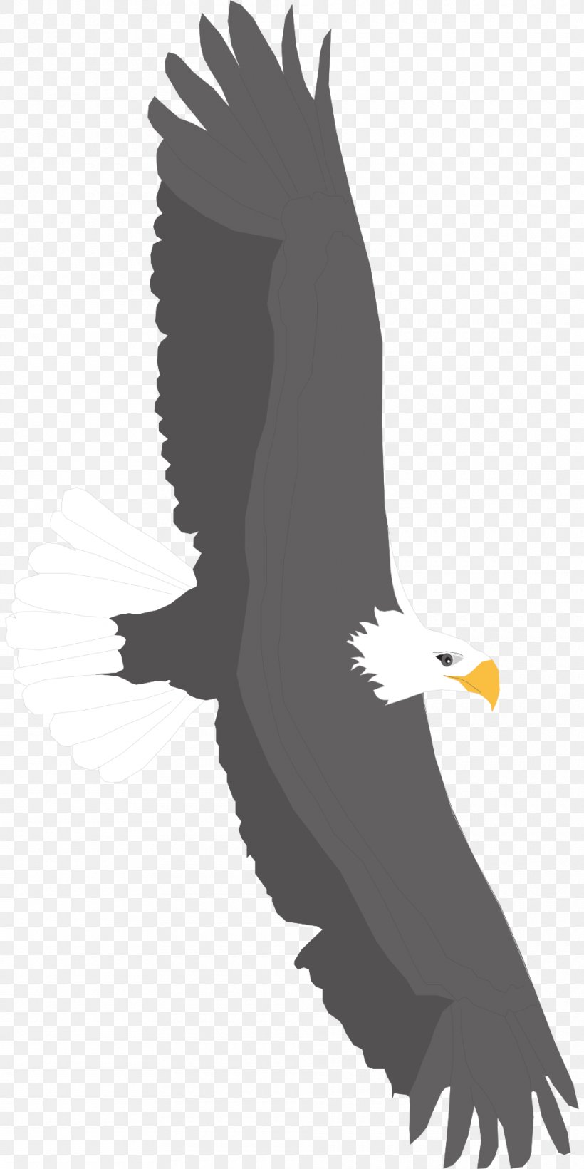 Bald Eagle Bird Golden Eagle Clip Art, PNG, 960x1920px, Bald Eagle, Accipitriformes, Animal, Beak, Bird Download Free