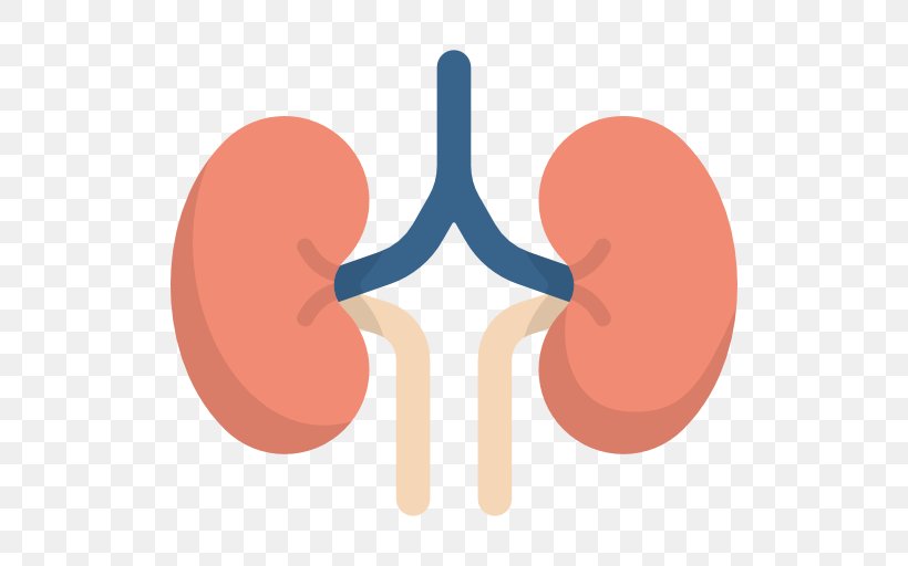 Medicine Disease Kidney The Stem Cell Revolution, PNG, 512x512px, Medicine, Disease, Gynaecology, Heredity, Kidney Download Free