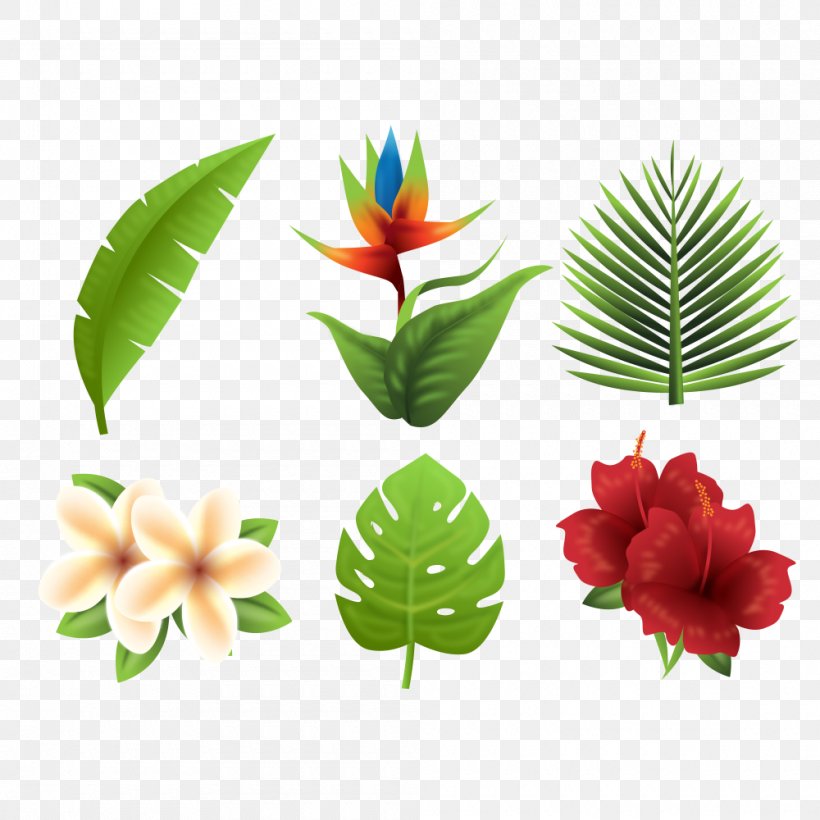 Flower, PNG, 1000x1000px, Flower, Computer Graphics, Floral Design, Flowerpot, Leaf Download Free