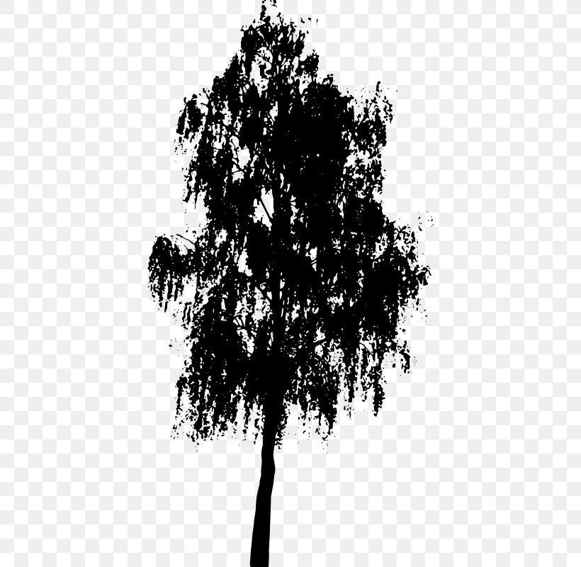 Tree Silhouette Clip Art, PNG, 568x800px, Tree, Black And White, Branch, Drawing, Monochrome Photography Download Free
