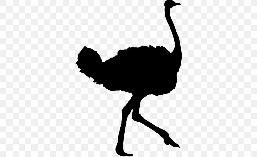 Common Ostrich Bird Silhouette, PNG, 500x500px, Common Ostrich, Beak, Bird, Black And White, Cartoon Download Free