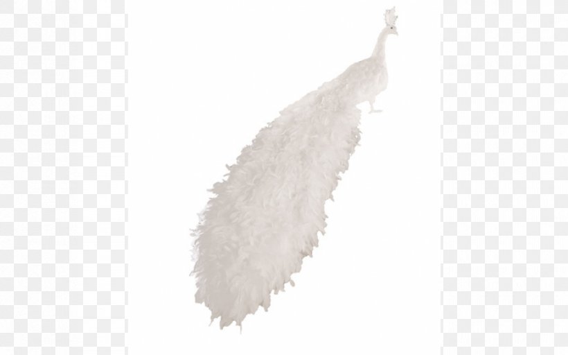 Feather, PNG, 940x587px, Feather, White, Wing Download Free
