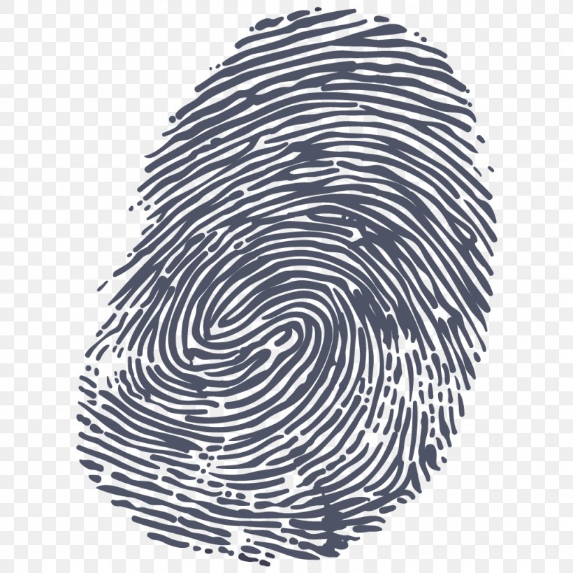 Fingerprint Clip Art, PNG, 1024x1024px, Fingerprint, Black And White, Criminal Investigation, Display Resolution, Finger Download Free