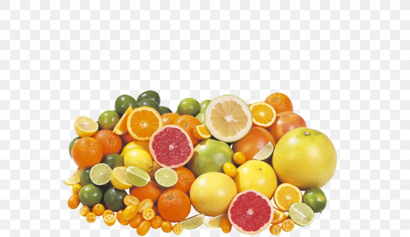 Lemon Orange Grapefruit Limoncello, PNG, 859x498px, Lemon, Citrus, Diet Food, Food, Fruit Download Free