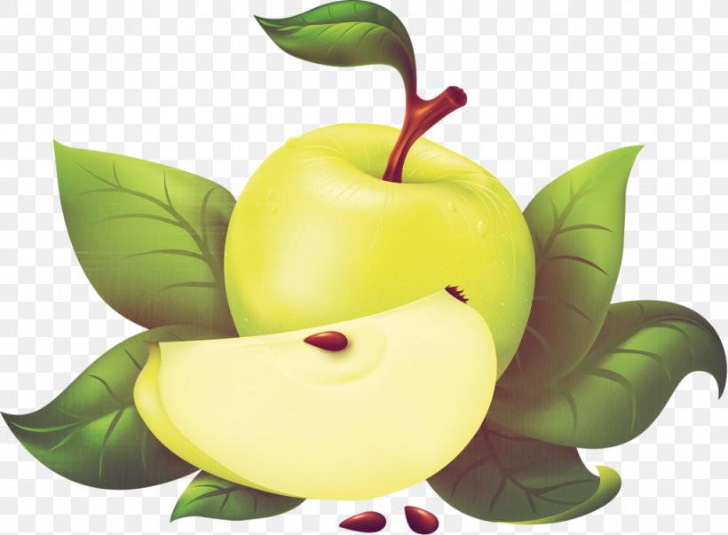 Apple Clip Art, PNG, 1024x754px, Apple, Food, Fruit, Granny Smith, Green Download Free