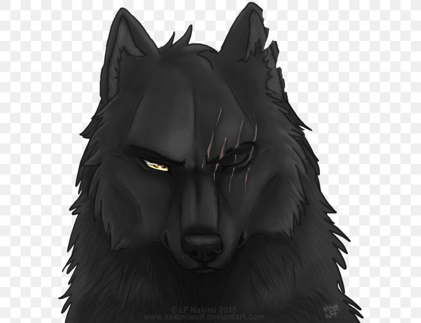 Black Wolf Coyote Pack Drawing, PNG, 600x630px, Black Wolf ...