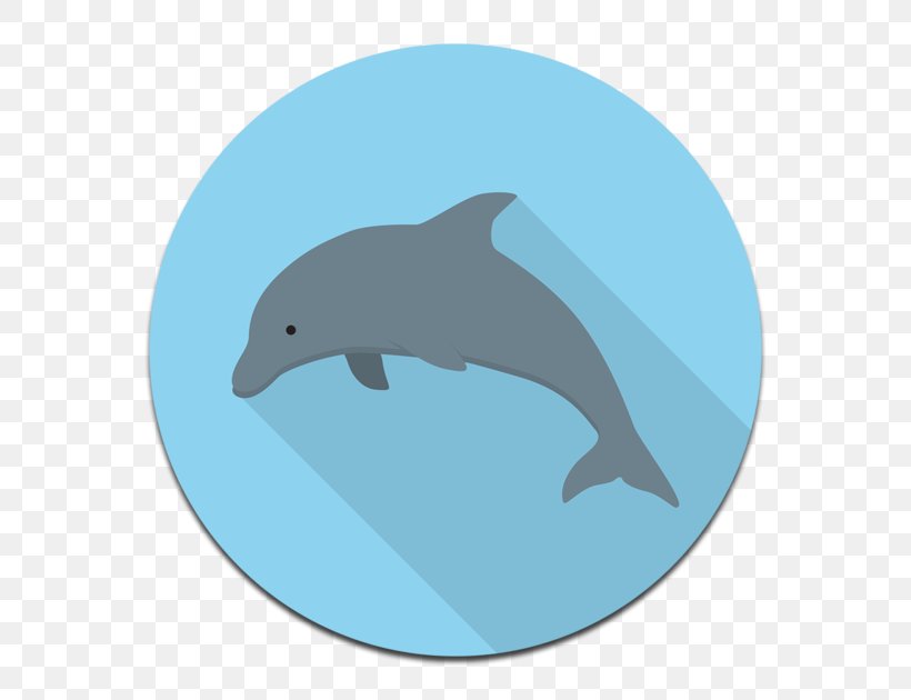 Common Bottlenose Dolphin Tucuxi Wholphin Wild Boar Porpoise, PNG, 630x630px, Common Bottlenose Dolphin, Animal, Dolphin, Fauna, Fin Download Free