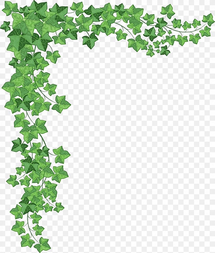 Drawing Of Family, PNG, 2104x2476px, Vine, Drawing, Flower, Green, Ivy Download Free