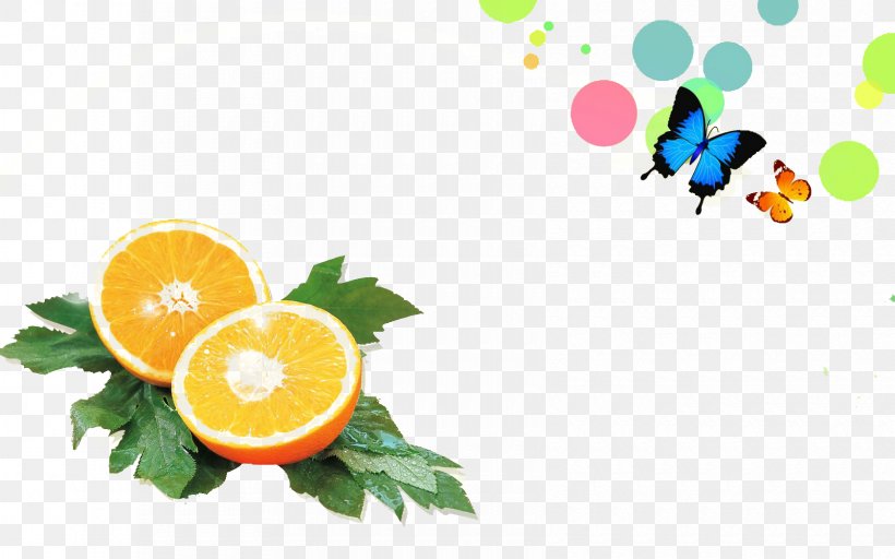 Orange Juice Desktop Wallpaper Wallpaper, PNG, 1680x1050px, Watercolor, Cartoon, Flower, Frame, Heart Download Free
