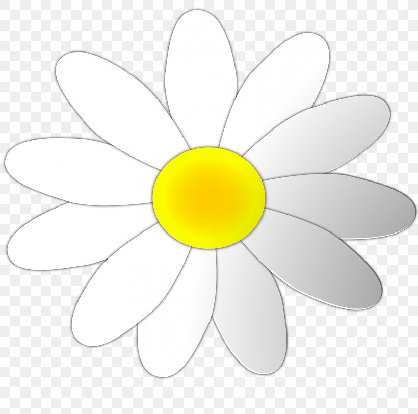 Petal Clip Art, PNG, 3333x3304px, Petal, Daisy, Flora, Flower, Flowering Plant Download Free