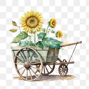 Watercolor Sunflower - Rustic Wooden Cart With Sunflowers PNG