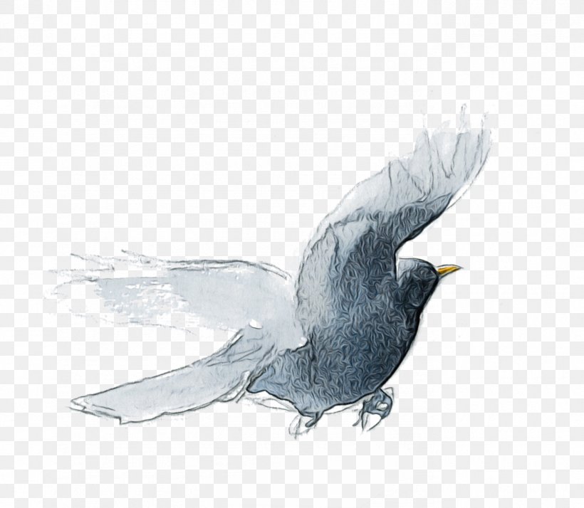 Bird Beak Drawing Wing Sketch, PNG, 1378x1200px, Watercolor, Beak, Bird, Blackbird, Drawing Download Free
