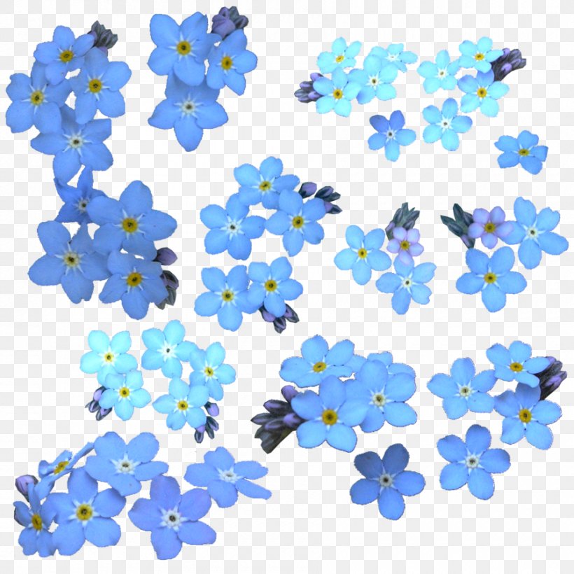 Flower Scorpion Grasses Clip Art, PNG, 900x900px, Flower, Blue, Borage Family, Color, Deviantart Download Free