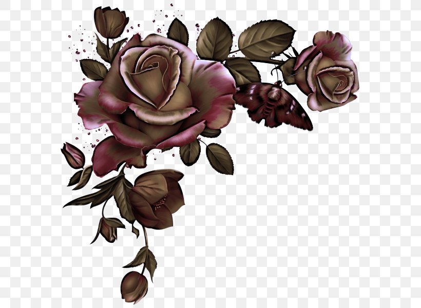 Garden Roses, PNG, 595x600px, Rose, Flower, Flowering Plant, Garden Roses, Hybrid Tea Rose Download Free